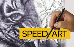 Desenhei um Tigre hiper Realista no lápis – speed art processo acelerado 6 horas em 5 minutos